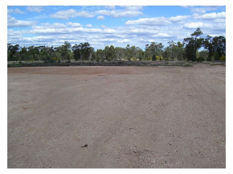 Cnr Mcnulty Street & Laycock Road, Miles QLD 4415