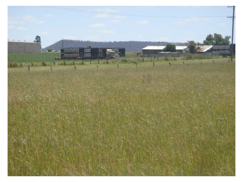 0 Warrego Highway & Wirths Road, Charlton QLD 4350