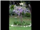 -Unique Business & Lifestyle Opportunity, Helidon QLD 4344