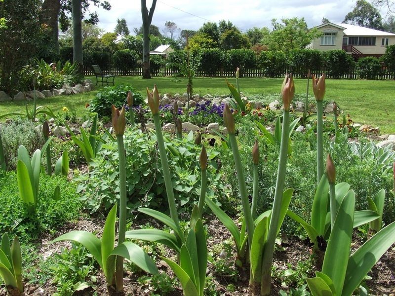 -Unique Business & Lifestyle Opportunity, Helidon QLD 4344