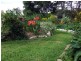 -Unique Business & Lifestyle Opportunity, Helidon QLD 4344