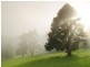 Bunya Mountains QLD 4405