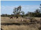 10 Leichhardt Highway (Cnr Kogan-Condamine), Condamine QLD 4416