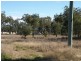 10 Leichhardt Highway (Cnr Kogan-Condamine), Condamine QLD 4416
