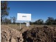 10 Leichhardt Highway (Cnr Kogan-Condamine), Condamine QLD 4416