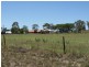 Lot 2 Leeson Road, Charlton QLD 4350
