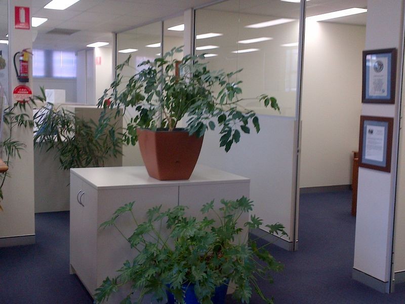 2a/133 Cunningham Street, Dalby QLD 4405