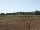 1 Hamlyn Road, Oakey QLD 4401