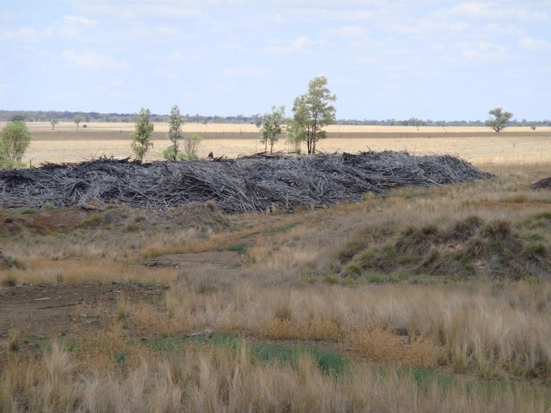 0 – Surat Sawmill, Surat QLD 4417