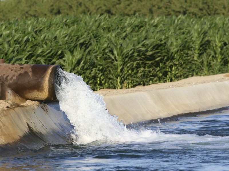 Water Licence/Lot 3 Pickanjinnie North Road, Roma QLD 4455