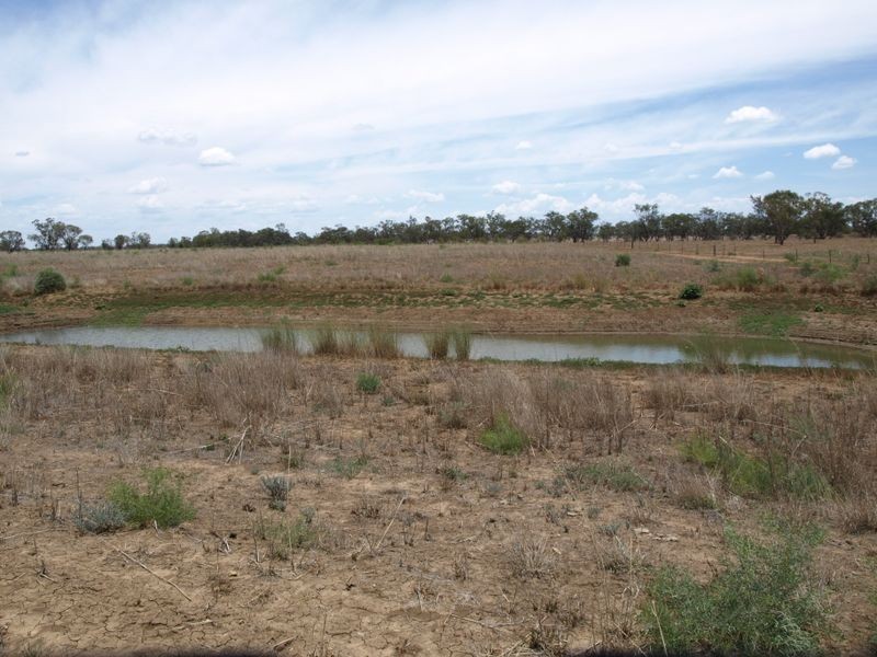 1843 Roma-Southern Road, Roma QLD 4455