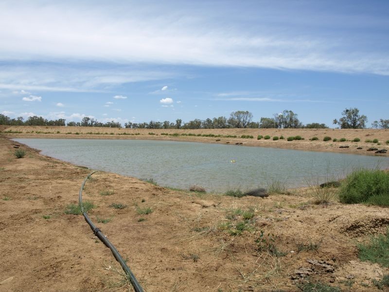 1843 Roma-Southern Road, Roma QLD 4455