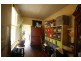 594 King Street, Newtown NSW 2042