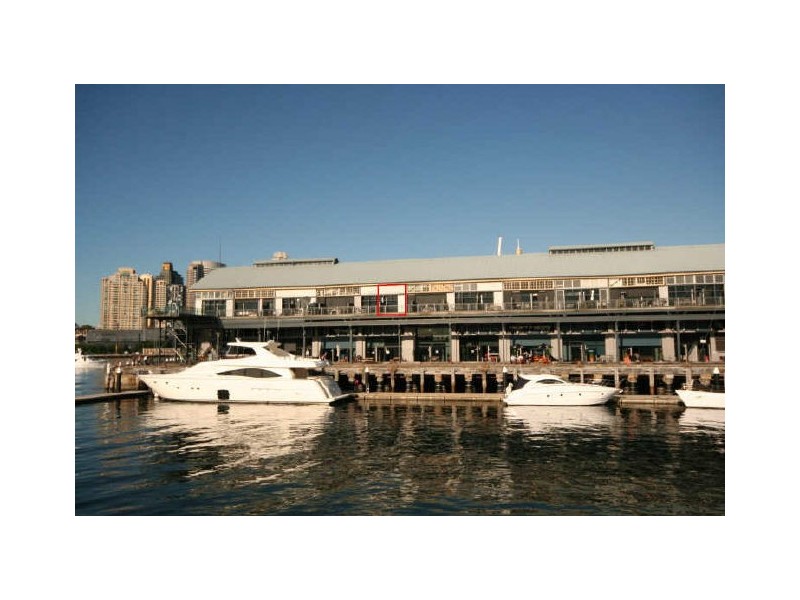 19 Pirrama Road, Pyrmont NSW 2009