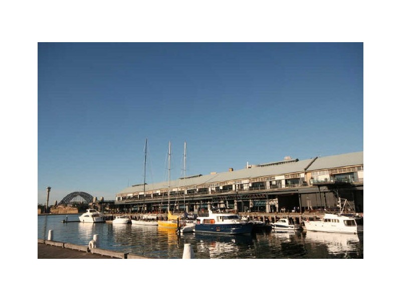 19 Pirrama Road, Pyrmont NSW 2009