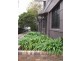 2 Shepherd Street, Marrickville NSW 2204