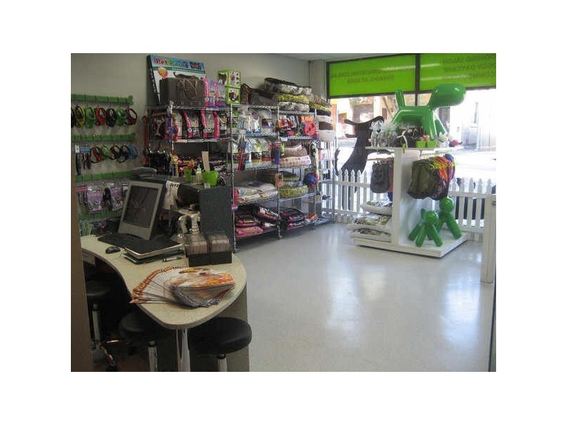 358 Norton Street, Lilyfield NSW 2040