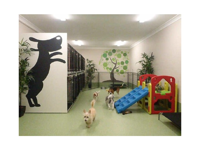 358 Norton Street, Lilyfield NSW 2040