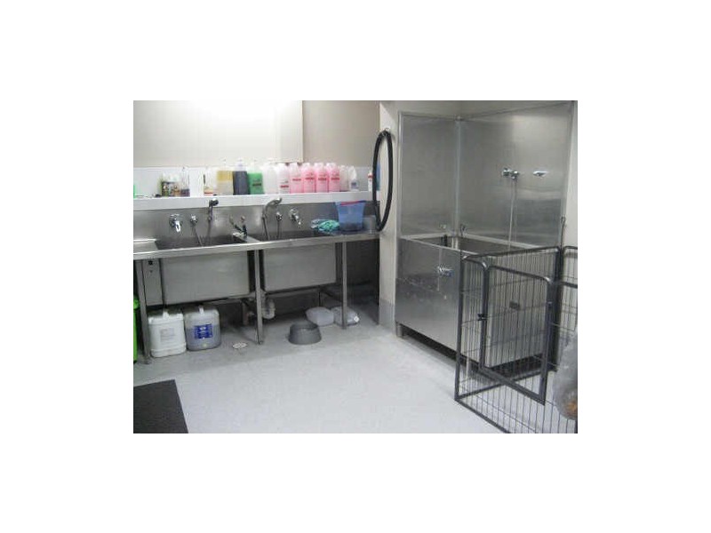 358 Norton Street, Lilyfield NSW 2040