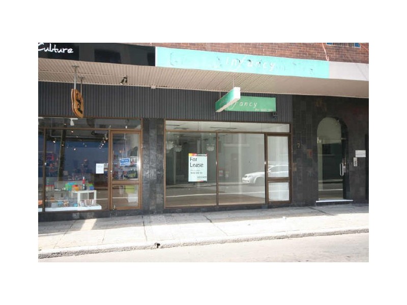 7 Wilson Street, Newtown NSW 2042