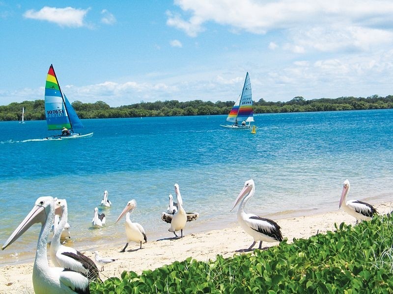 4/12 Burnet Street, Ballina NSW 2478