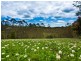 41 Foresters Way, Tintenbar NSW 2478