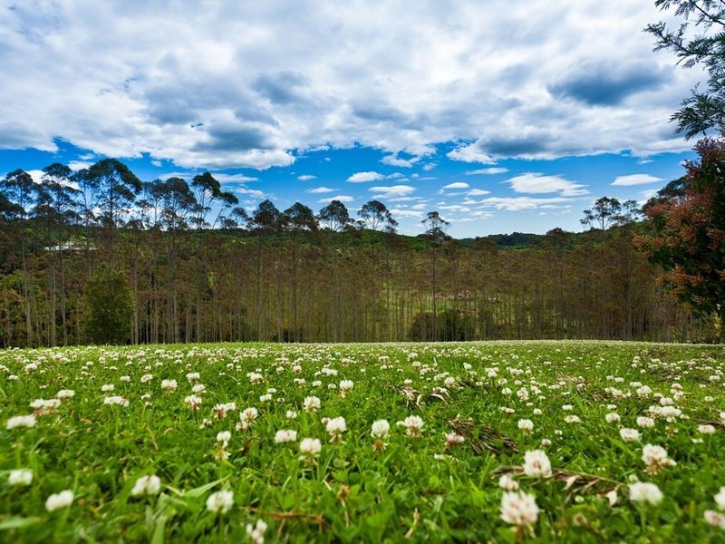 41 Foresters Way, Tintenbar NSW 2478
