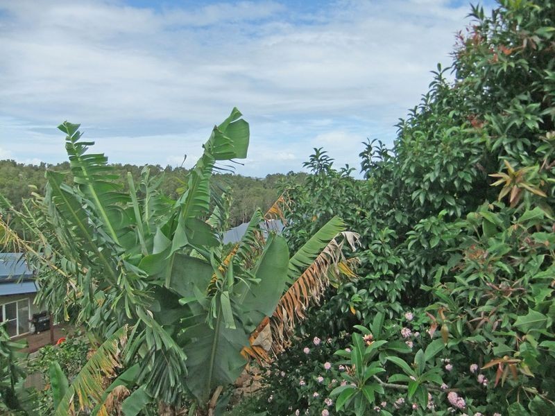 16 Lindsay Avenue, Ballina NSW 2478