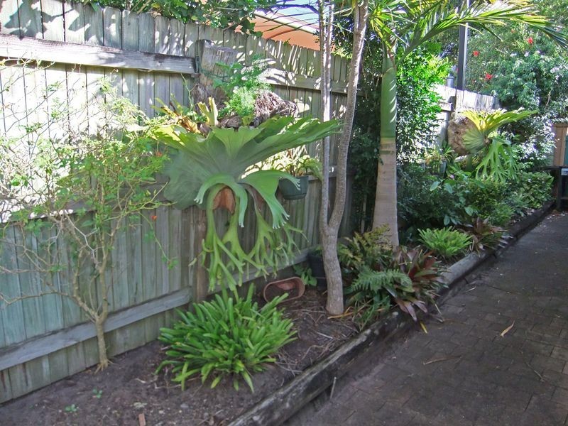 103 Catherine Crescent, Ballina NSW 2478