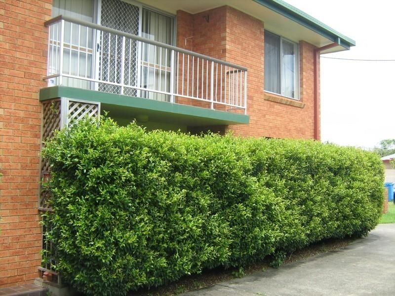 1/15 Jarrett Street, Ballina NSW 2478