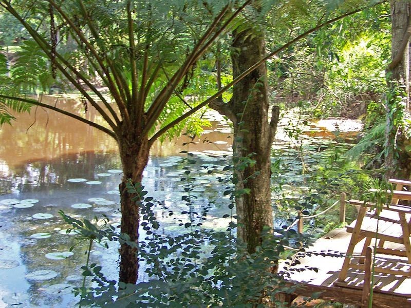 67 Platypus Drive, Uralba NSW 2477