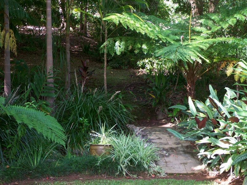 67 Platypus Drive, Uralba NSW 2477