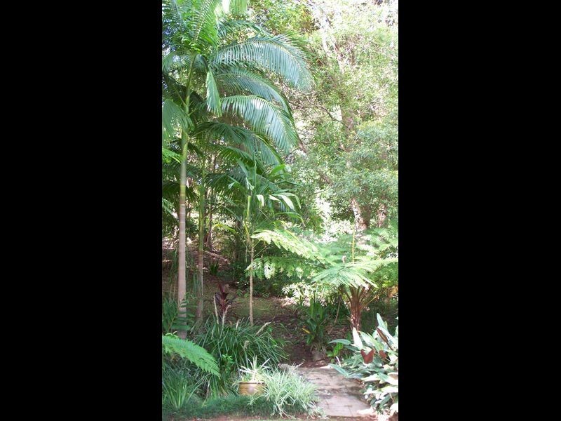 67 Platypus Drive, Uralba NSW 2477