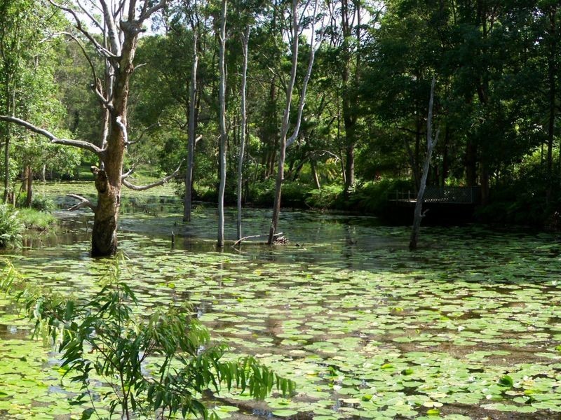 67 Platypus Drive, Uralba NSW 2477