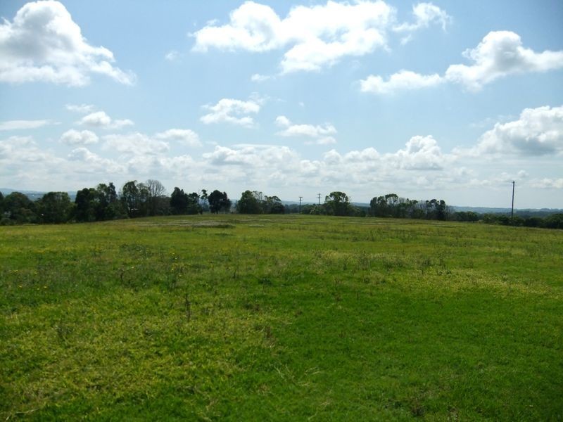 509 Cowlong Road, Mcleans Ridges NSW 2480