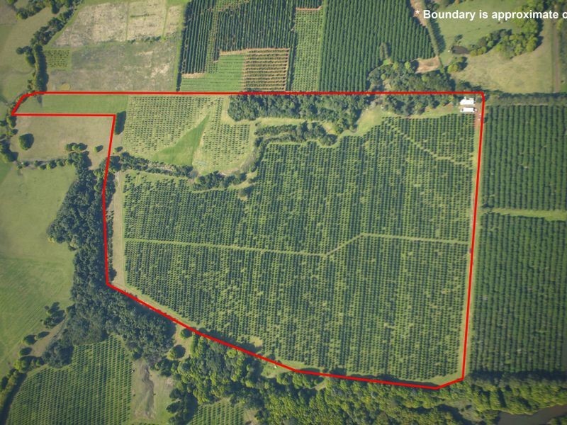 100a Lindendale Road, Lindendale NSW 2480