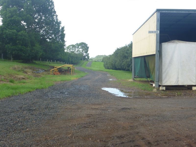 100a Lindendale Road, Lindendale NSW 2480