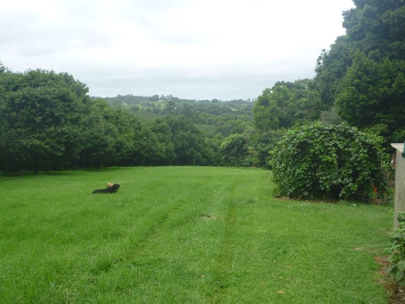 100a Lindendale Road, Lindendale NSW 2480