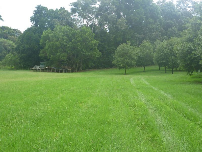 100a Lindendale Road, Lindendale NSW 2480