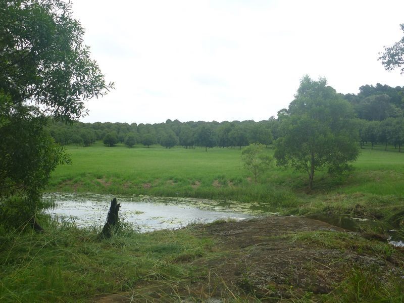 100a Lindendale Road, Lindendale NSW 2480