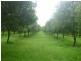 100a Lindendale Road, Lindendale NSW 2480