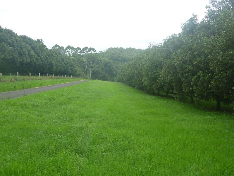 100a Lindendale Road, Lindendale NSW 2480