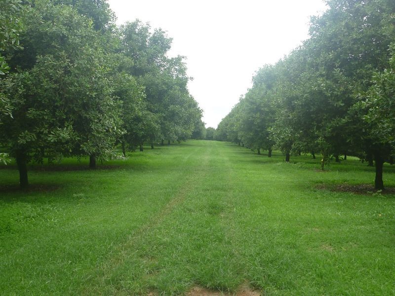 100a Lindendale Road, Lindendale NSW 2480