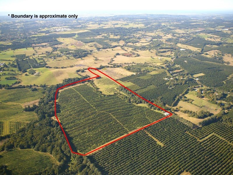 100a Lindendale Road, Lindendale NSW 2480