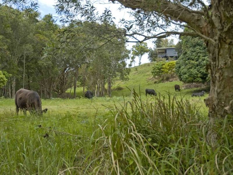 66b Fig Tree Hill Drive, Lennox Head NSW 2478