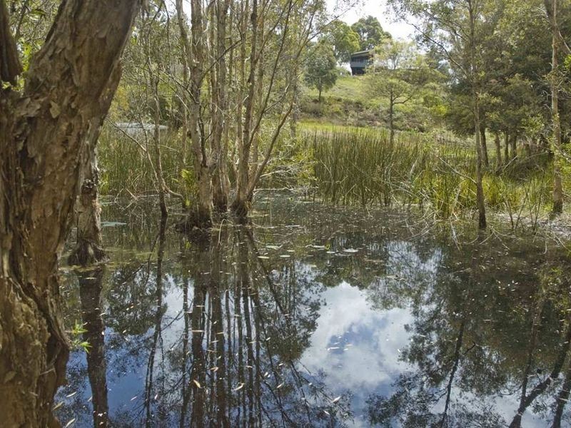 66b Fig Tree Hill Drive, Lennox Head NSW 2478