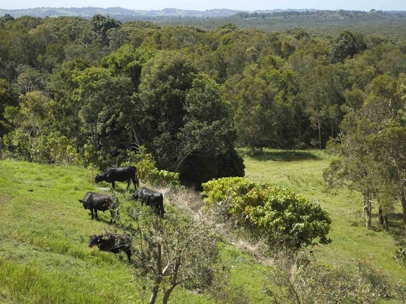 66b Fig Tree Hill Drive, Lennox Head NSW 2478