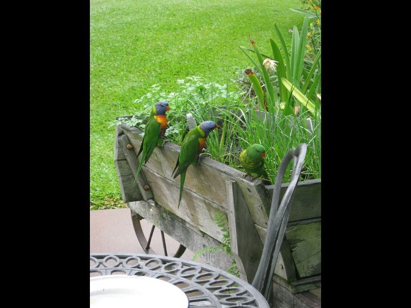 185 Empire Vale Road, Empire Vale NSW 2478