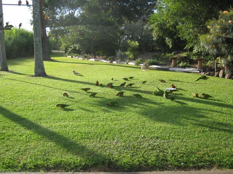 185 Empire Vale Road, Empire Vale NSW 2478