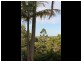 127 Whytes Lane, Pimlico NSW 2478